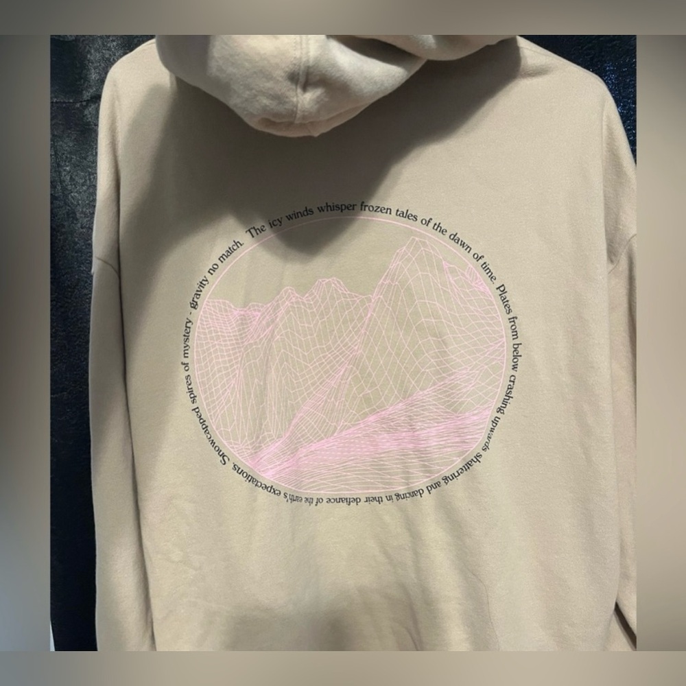Levi’s Hoodie - Picture 3 of 6